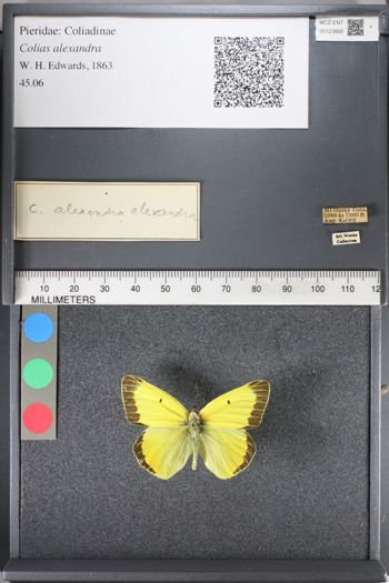 Media type: image;   Entomology 123868